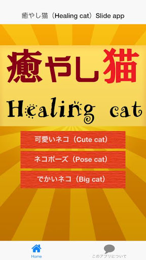 癒やし猫（Healing cat）-話題の癒されるネコ写真