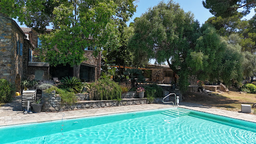 House with pool and garden 1