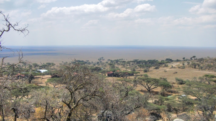 L'infinito Serengeti di Matteonanoix