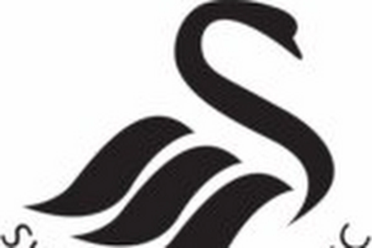 Swansea City het dwergje der nieuwkomers?