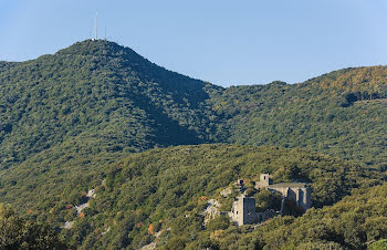 terrain à Cabrerolles (34)