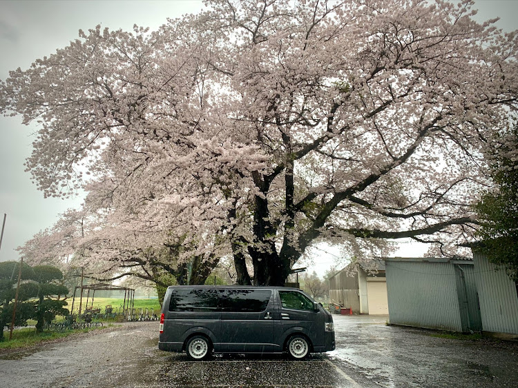 の投稿画像3枚目