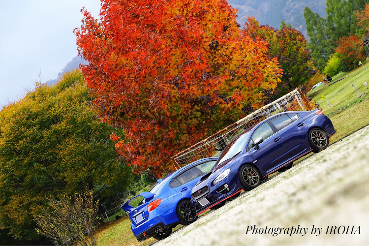 WRX STIのフォロワーさんに感謝・一眼レフ撮影・1枚目がお気に入り😍・紅葉・コラボありがとうございましたに関するカスタム事例の投稿画像3枚目