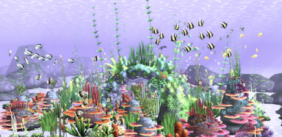 HealingAqua - My Aquarium Screenshot