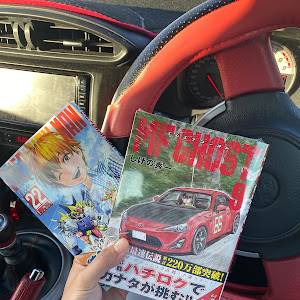86 ZN6