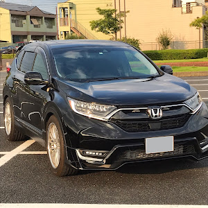 CR-V RW1