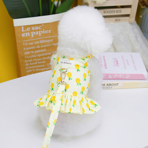 Title 9, Pet Clothes Dog Fruit Skirt With Rope. Provides...