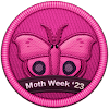 Moth Week 2023