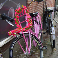 Bici fiorita di 