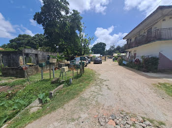 terrain à Cayenne (973)