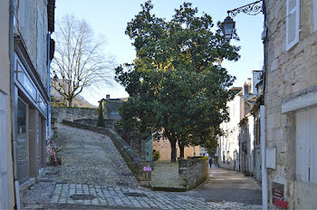 maison à Terrasson-Lavilledieu (24)