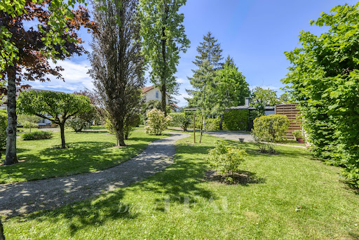 House with garden 4