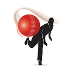 Cover Image of Download Cricket Ground Fast Line 1.1 APK