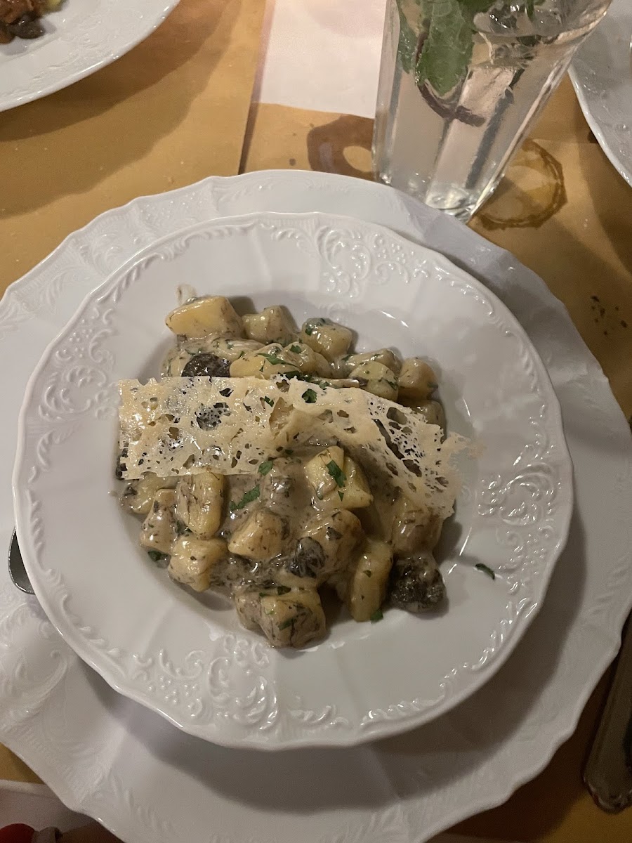 Gnocci