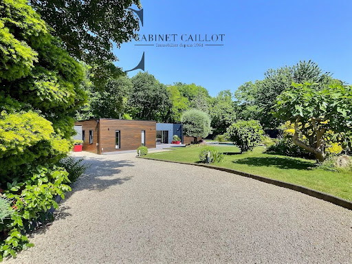 House with pool and garden 3