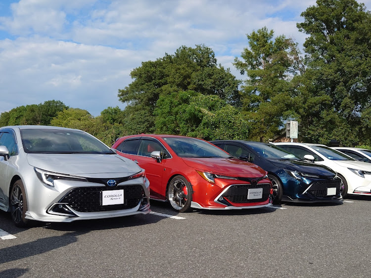 カローラスポーツのオフ会・さきたま古墳公園・夏っぽい写真展・夕日コラボに関するカスタム事例の投稿画像6枚目