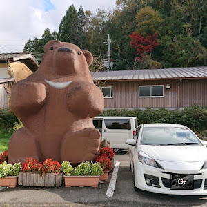 ヴィッツ
