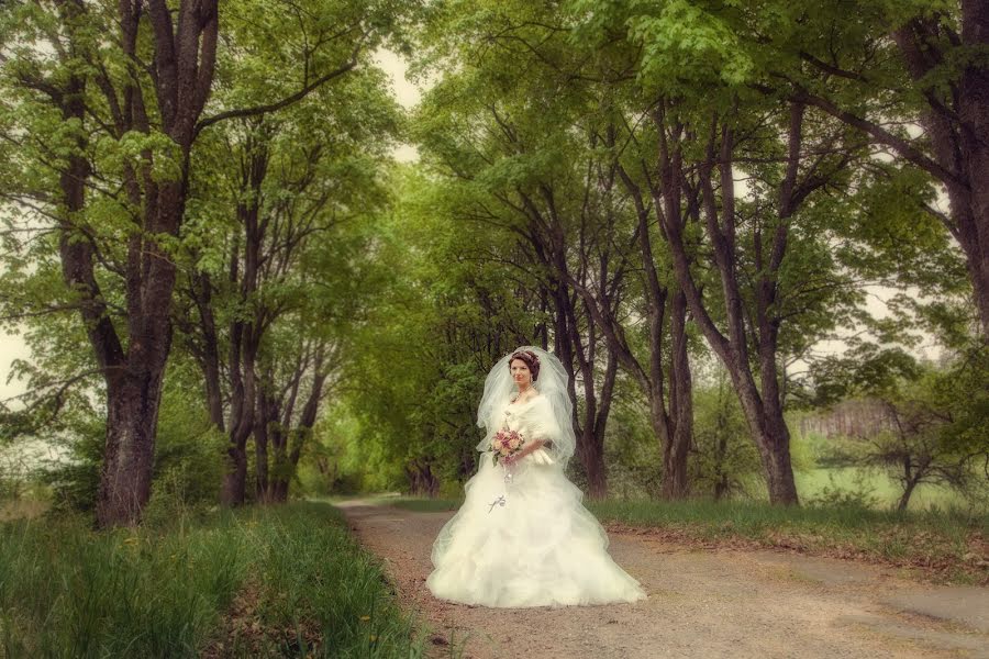 Fotografo di matrimoni Alena Levay (0507). Foto del 17 agosto 2014