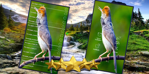 دانلود Kicau Prenjak Masteran Suara Burung Prenjak Gacor 2 1 0