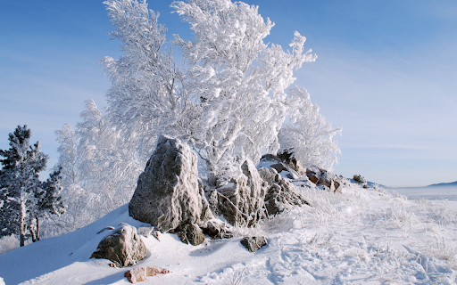 Frost-Covered Trees and Rocks on a Snowy Hill screenshot 1