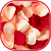 Rose Petals HD Wallpaper  Icon