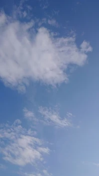 友達…