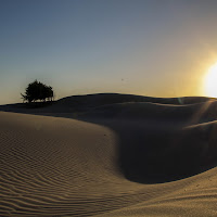 Italian Desert di 