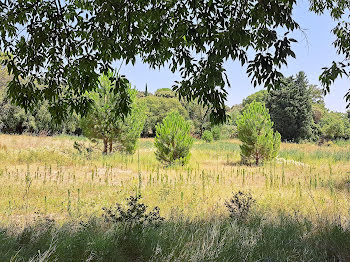 terrain à Bollene (84)