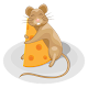 Maze: Mouse & Cheese