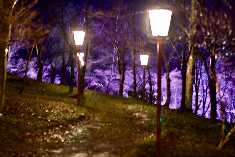 レガシィツーリングワゴンの北海道・ゴールデンウィーク・桜とコラボ・一眼レフ撮影・NikonD7100に関するカスタム事例の投稿画像4枚目