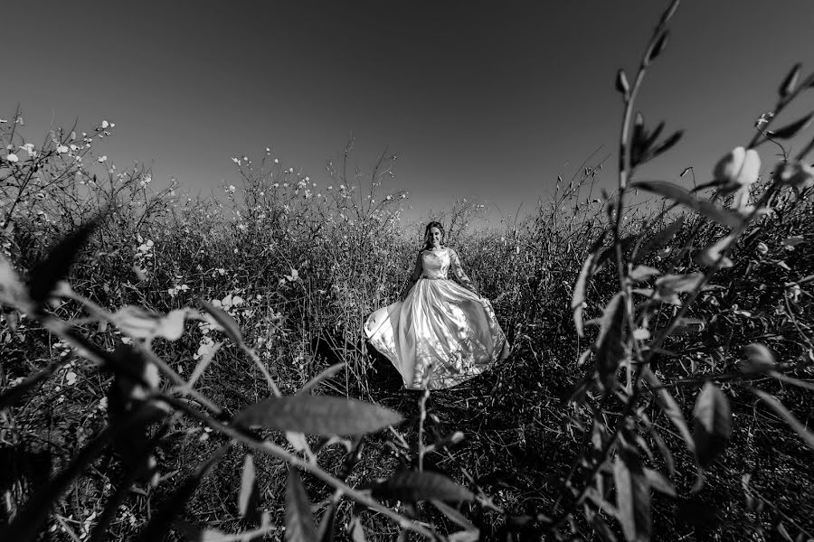 Photographe de mariage Fernando Lima (fernandolima). Photo du 9 août 2020