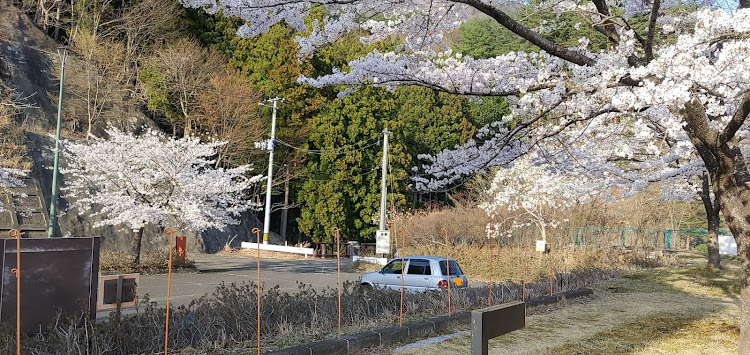 の投稿画像19枚目