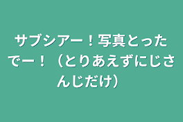 サブシアー！写真とったでー！（とりあえずにじさんじだけ）