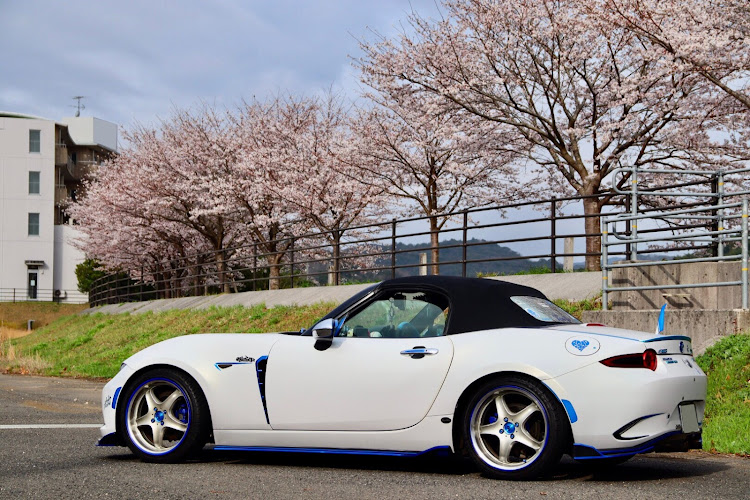 ロードスターの桜とコラボ🌸・医療従事者にエールを❗️・コロナウイルスに負けるな・two-kに関するカスタム事例の投稿画像5枚目