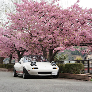 ロードスター NA8C