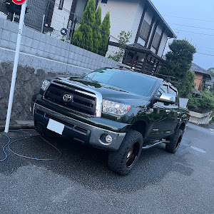 タンドラ