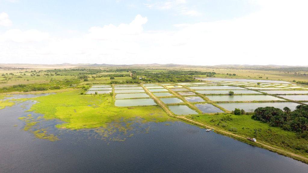 Fazenda