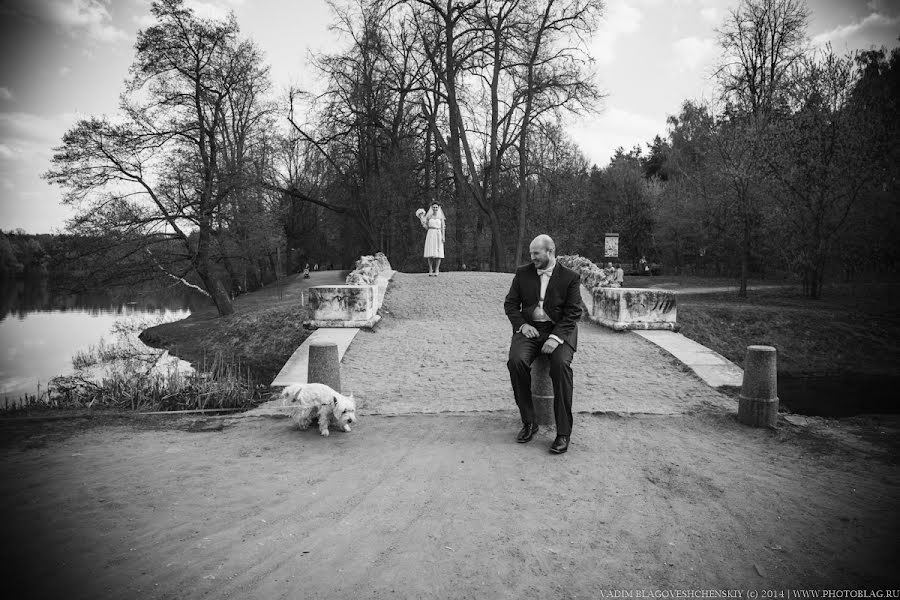 Photographe de mariage Vadim Blagoveschenskiy (photoblag). Photo du 24 mars 2016