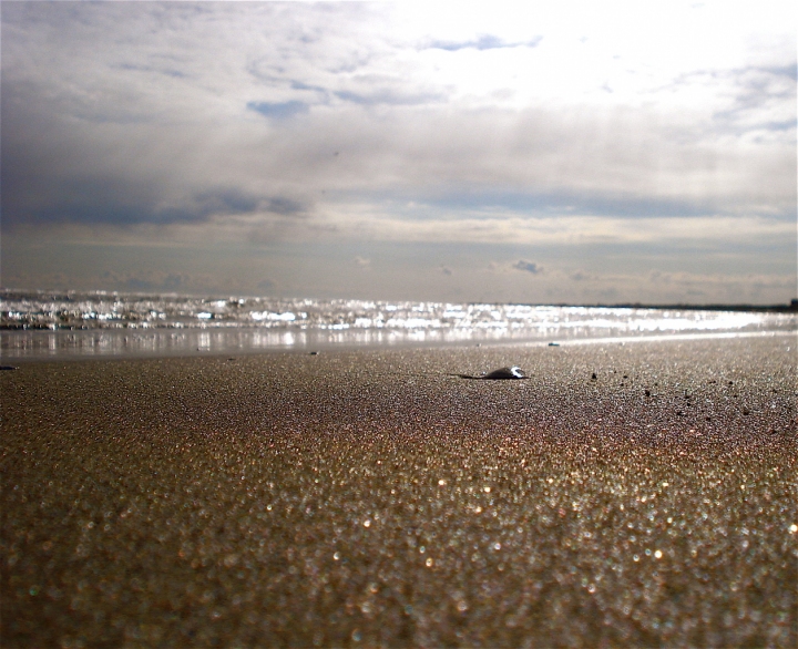 Winter sea di danielasmerieri