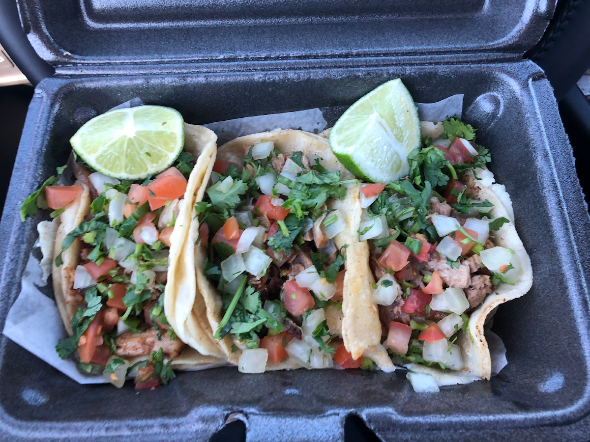 Great food! These are pulled pork tacos on GF corn tortillas.