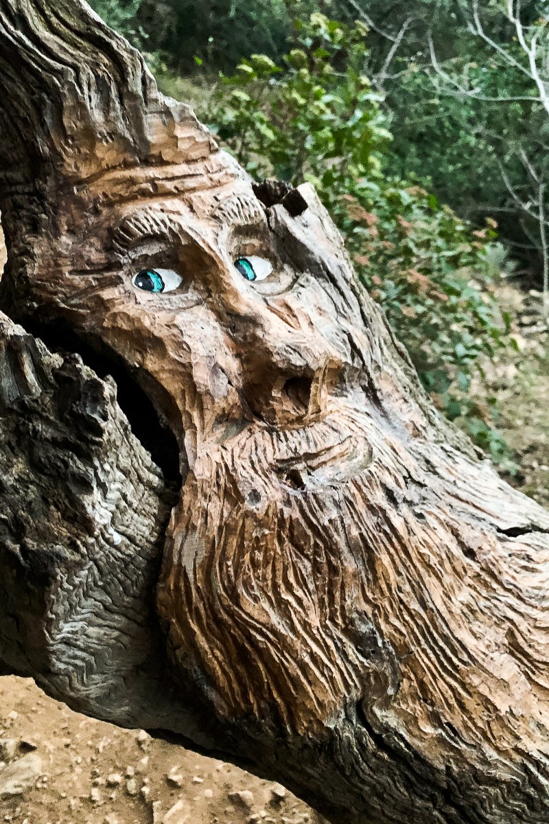 sculture di legno di AlbertoCataldi