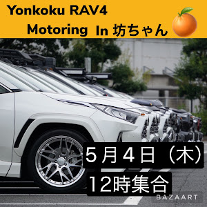 RAV4 AXAH54