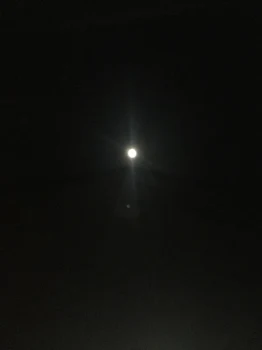 なんでよ、、、。