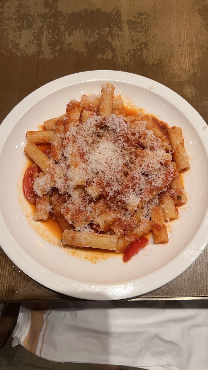 Tomato and basil pasta