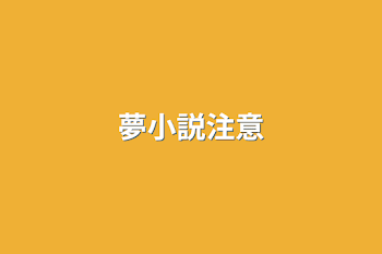 夢小説注意