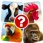 Cover Image of Descargar Juego de correspondencias: animales 1.5 APK