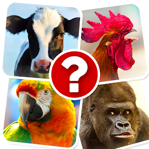 Memory Game: Animals 6.5 Icon