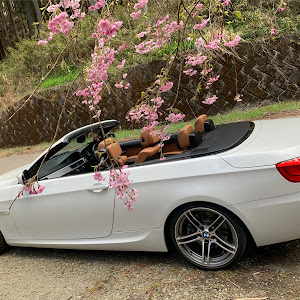 335i Convertible