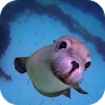 Sea Life HD Video Wallpapers G icon