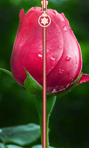 Pink Rose Zip Lock